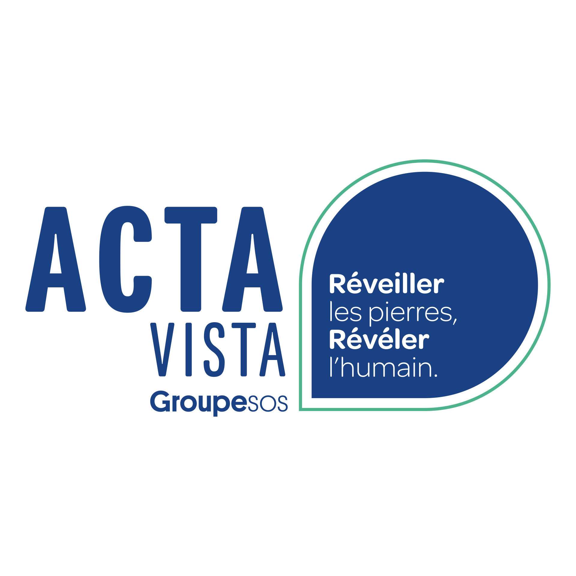 Logo ACTA VISTA